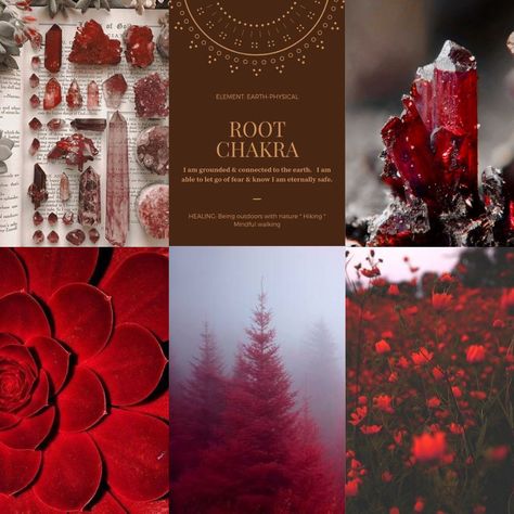 Root Chakra Vibes #rootchakra Red Chakra Aesthetic, Root Chakra Aesthetic, Root Chakra Color Palette, Root Chakra Work, Root Chakra Image, Red Root Chakra, Activate Root Chakra, Hidden Knowledge, Nature Hikes