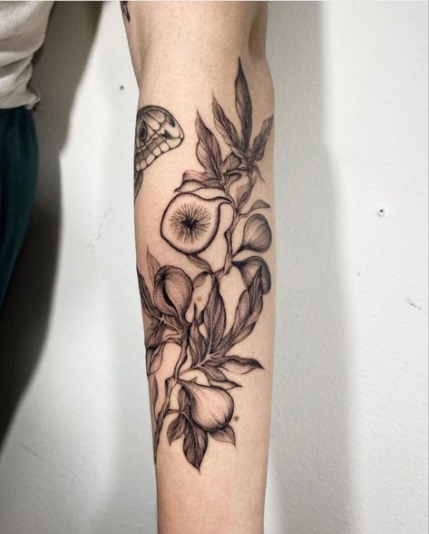 Fig Flower Tattoo, Realistic Botanical Tattoo, Fig Leaves Tattoo, Fig Tree Branch Tattoo, Fig Plant Tattoo, Fruit Branch Tattoo, Fig Tree Tattoo The Bell Jar, Fig Branch Tattoo, 5cm Tattoo Ideas