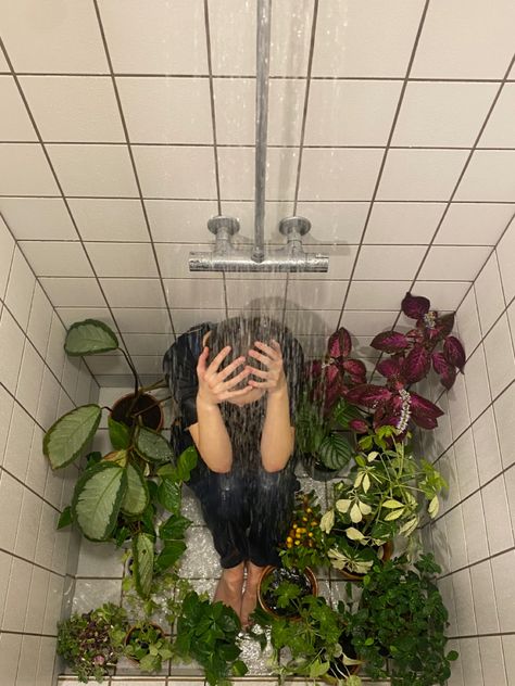 A Woman, Shower, Instagram Photos, Plants, Instagram