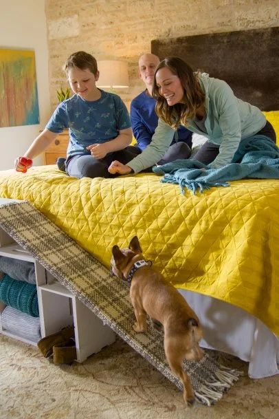 DIY Dog Ramp for the Bed | HGTV Dog Ramp For Bed Diy How To Build, Easy Diy Dog Ramp For Bed, Diy Dog Stairs To Bed, Diy Dog Ramp For Bed, Bed Ramp, Dog Ramp For Stairs, Dog Ramp Diy, Diy Dog Wheelchair, Dog Steps For Bed