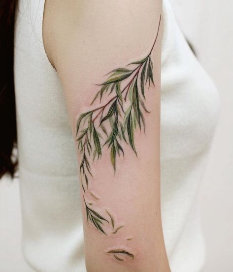 Willow Branches Tattoo, Wrap Around Willow Tattoo, Shoulder Foliage Tattoo, Willow Leaf Tattoo Arm, Willow Tree Shoulder Tattoo, Willow Vine Tattoo, Willow Tattoo Branch, Willow Branch Tattoo Arm, Tree Branches Tattoo