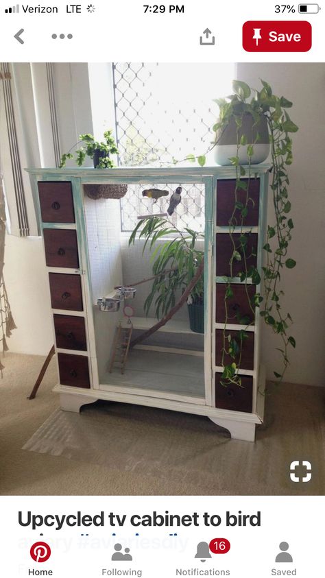 Bird cage made from dresser. Diy Finch Cage, Diy Bird Cage From Furniture, Bird Cage Ideas Indoor Diy, Finch Bird Cage Ideas, Bird Cage In Bedroom, Pet Bird Cage Ideas, Diy Cockatiel Cage, Budgie Cage Setup Aesthetic, Cockatiel Cage Ideas