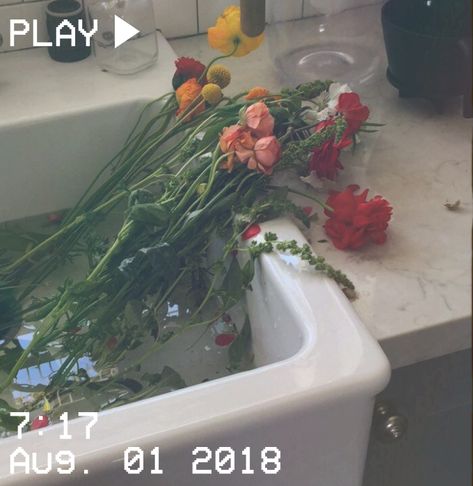 Water, Flowers, Red