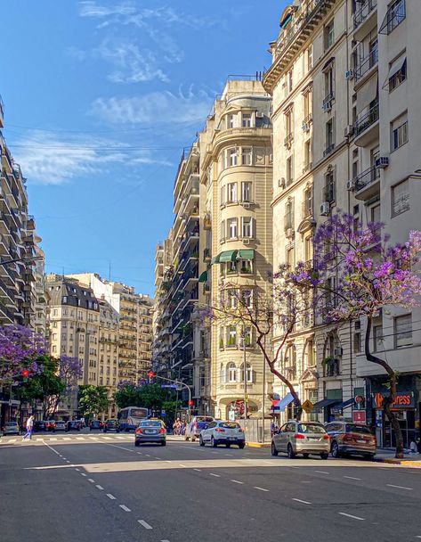 Purple aesthetic city jacaranda Buenos Aires Travel, Argentina Travel, Travel South, South America Travel, Cheap Hotels, Save Your Money, City Aesthetic, Pretty Places, Travel Inspo