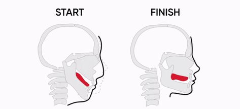 Results for quiz which brainrot word are you Jawline Drawing, Tongue Posture, Jawline Exercise, Cheesy Smile, Chiseled Jawline, Face Structure, Hair Stenciling, Facial Aesthetics, Shape Templates