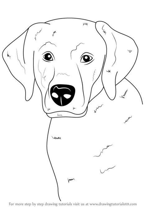 How to Draw Dogs - Draw A Labrador Face - Easy Step by Step Drawing Tutorial - Learn How To Draw A Dog and Cute Puppies - Cartoon and Realistic Animals Draw A Labrador, Animals Step By Step, Dog Face Drawing, Draw Dogs, Dog Drawing Tutorial, Draw A Dog, Drawing Tutorial Face, Step Drawing, Learn How To Draw