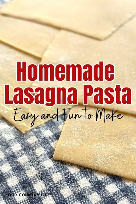 Nothing says comfort food like a homemade lasagna, and it's surprisingly easy (and fun!) to make homemade lasagna pasta from scratch. Read my blog post and I will show you how to make it! How To Make Lasagna Noodles, Homemade Lasagne Sheets, Lasagna From Scratch Recipe, Homemade Lasagna Noodles, Easy Homemade Lasagna, Cavatelli Pasta, Fresh Pasta Dough, Italian Lasagna, Pasta From Scratch