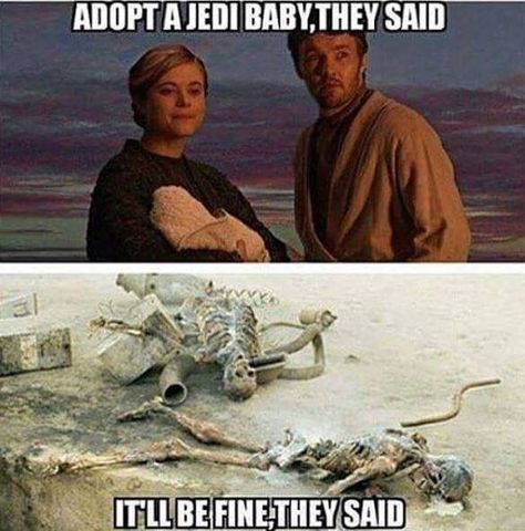 OMG!!! Uncle Owen and Beru Star Wars Funny, Star Wars Meme, Sick Burns, Funny Star Wars Memes, Revenge Of The Sith, Star Wars Quotes, Star Wars Facts, Star Wars Jokes, The Sith