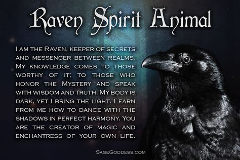 Raven Symbolism, Raven Spirit Animal, Crow Spirit Animal, Crow Totem, Feather Meaning, Spirit Animal Meaning, Viking Quotes, Animal Meanings, Totem Animals