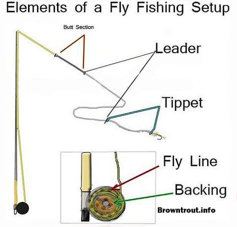 Fly fishing basics, the backing, line, leader and tippet. Fly Fishing Knots, Fly Fishing For Beginners, Fishing Basics, Surfing Tips, Trout Fishing Tips, Fishing Hacks, How To Fish, Fly Fishing Tips, Fishing For Beginners