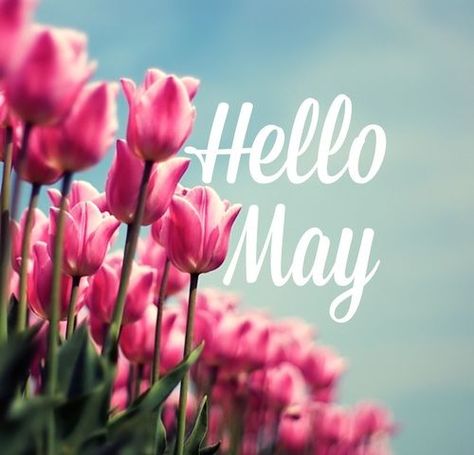 May Images, May Pictures, Happy New Month Quotes, May Month, New Month Quotes, Welcome May, May Quotes, Monthly Quotes, Month May