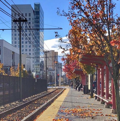 Northeastern Aesthetic, Northeastern University Aesthetic, Boston University Dorm, Boston College Campus, Northeastern University Boston, Emerson College Boston, Suffolk University Boston, Boston Accent, Boston Fall