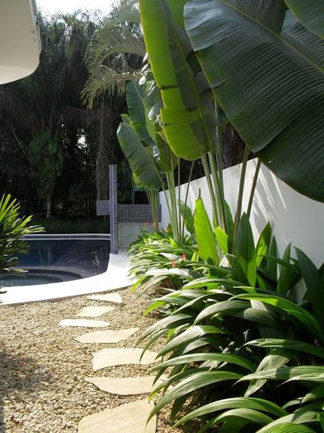 Backyard Homesteading, Tropical Landscape Design, Tropical Garden Design, Tropical Backyard, Backyard Plants, Modern Landscape Design, Side Garden, Beautiful Backyards, Tropical Landscaping