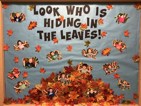 Look Who’s Hiding In The Leaves Bulletin Board, Acorn Bulletin Board Preschool, Fall Board Decorations, Fall Bulliten Board Preschool, Early Childhood Education Bulletin Board, Autum Board Preschool, Fall Door Decor Preschool, Preschool Poster Board Ideas, Harvest Bulletin Board Ideas Preschool