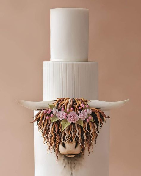 Highland Cow Wedding Cake, Highland Cow Cake Tutorial, Popular Cake Designs, Highland Cow Birthday Cake, Highland Cow Cake, Fondant Face, Cow Cupcakes, Cow Cake, Cow Cookies