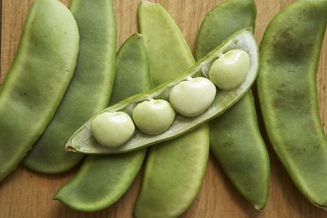 How to Grow and Care for Lima Bean Plants Lima Bean, Bean Plant, Bean Seeds, Lima Beans, Butter Beans, Growing Tomatoes, Garden Seeds, Upside Down, Green Beans