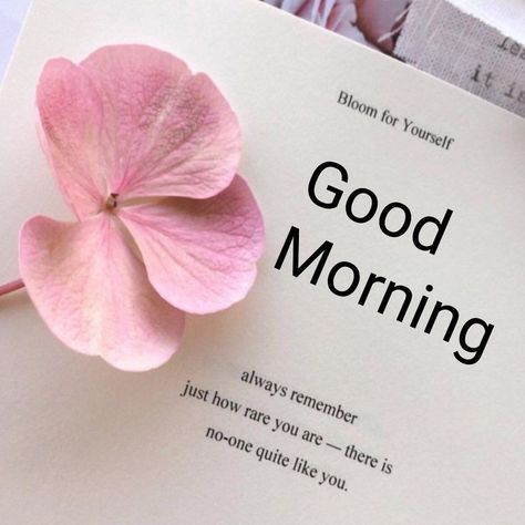 Good Morning My Customers, Inspirational Good Morning Quotes, Quotes To Start Your Day, Good Morning Smiley, Good Morning Massage, Call Me Now, Good Morning Greeting Cards, Good Morning Sweetheart Quotes, Good Morning Sunshine Quotes