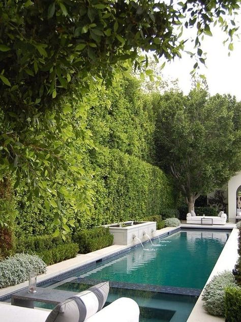 Moderne Pools, Small Swimming Pools, Pool Landscape Design, Modern Pools, Small Pools, Dream Pools, Lap Pool, Beautiful Pools, Backyard Pool Designs