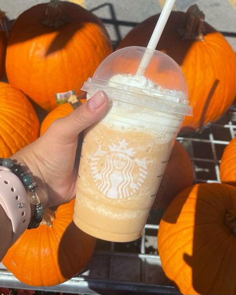 Pumpkin Cold Foam Starbucks, Pumpkin Spice Frappe, Pumpkin Frappe, Ballet Tumblr, Starburst Drink, Starbucks Autumn, Gilmore Girls Autumn, Pumpkin Cold Foam, Aesthetic Fall Vibes