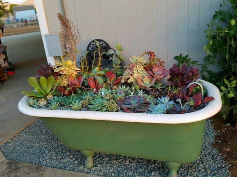 Claw foot bathtub design Bathtub Garden Ideas, Unique Garden Ideas, Bathtub Garden, Garden Bathtub, Garden Planter Ideas, Old Bathtub, Outdoor Bathtub, Garden Pond Design, Succulent Landscaping