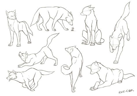 Animal Base, Dog Face Drawing, School Branding, Dogs Drawing, Animal Poses, Wolf Poses, Dog Design Art, Wolf Sketch, Canine Drawing