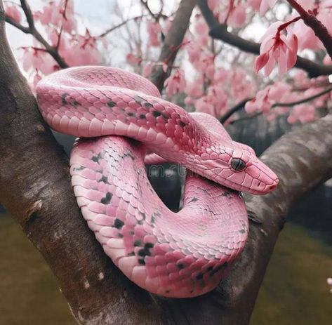 Killing a pink snake: This could represent your ability to overcome challenges and obstacles in your life. It could also symbolize your desire to rid yourself of negative thoughts or behaviors. Dreaming of a pink snake shedding its skin: This could be a sign of personal growth and transformation. It could also symbolize leaving behind old habits or beliefs and embracin - https://impeccablenestdesign.com/dream-meanings/pink-snake-dream-meaning/ Snake Dream Meaning, Snake Pink, Snake Shedding, Colorful Snakes, Pretty Snakes, Dream Meaning, Scary Animals, Cold Blooded, Pink Snake