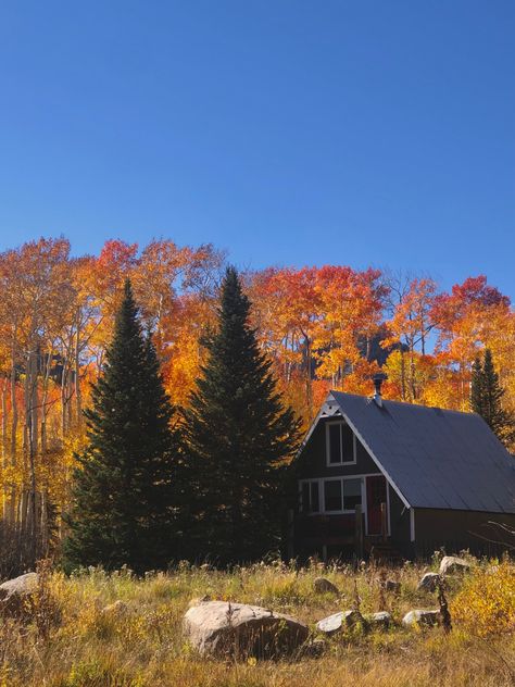 Houses In Autumn, Horizontal Fall Aesthetic, Brandon Core Aesthetic, Maine Fall Aesthetic, Noelcore Aesthetic, Katie Aesthetic, Autumn Hobbies, Fall Family Aesthetic, Brandon Core