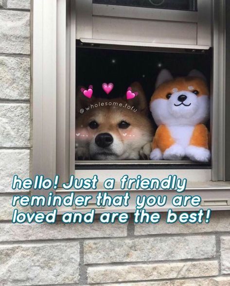 Just a reminder to you all! ✨ Heart Memes, Love You Meme, What Do You Meme, Best Friends Cartoon, Funny Good Morning Quotes, Cute Love Memes, You Are My Life, Friend Cartoon, You Are Loved