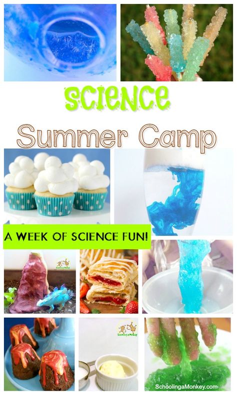 Science Camp Ideas, Science Camp Activities, Science Summer Camp, Summer Stem Activities, Summer Science Experiments, Summer Camp Themes, Summer Stem, Camping Desserts, Summer Camp Activities