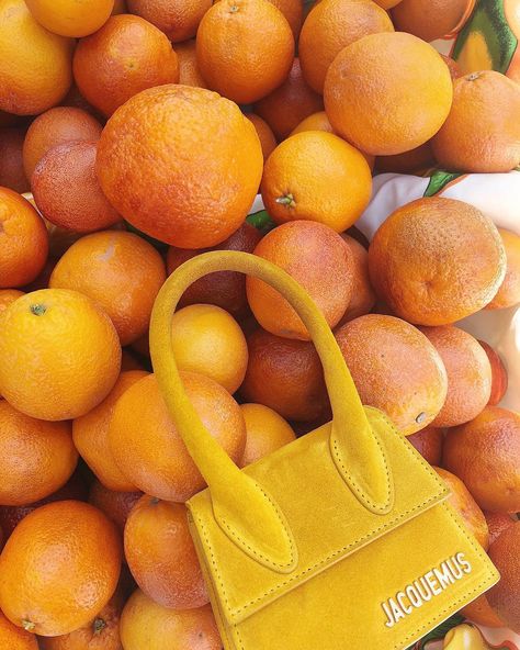 @therealreal on Instagram: “Bite sized 🍊 #Jacquemus 📷 @love.taylormarie” Jacquemus Clothes, Minimalist Aesthetic Outfit, Sustainable Fashion Photography, Jacquemus Bags, Jacquemus Le Chiquito, Jacquemus Bag, Summer Wines, Suede Bag, Bag Obsession