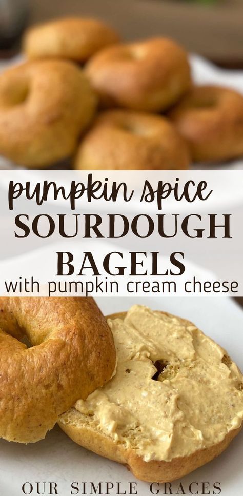 These homemade pumpkin spice sourdough bagels with pumpkin cream cheese are the best cozy fall recipe you will want to make again and again. They make for the perfect easy breakfast that everyone in the family will love. Sourdough Pumpkin Bagel Recipe, Sourdough Pumpkin Bagels Recipe, Pumpkin Spice Sourdough Bagels, Sourdough Discard Pumpkin Bagels, Pumpkin Sourdough Boule, Pumpkin Spice Bagels, Mini Sourdough Pumpkin Loaves, Pumpkin Spice Sourdough, Sourdough Bagel Recipes