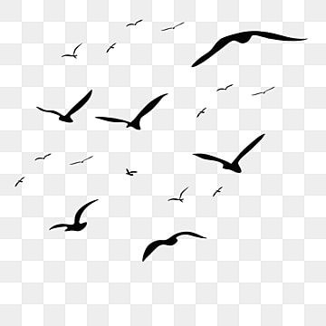 Flock Of Birds Drawing, Birds Silhouette Flying, Birds Flying Illustration, Birds Flying Silhouette, Wings Bird, Kingfisher Painting, Birds Silhouette, Flying Bird Silhouette, Vogel Silhouette