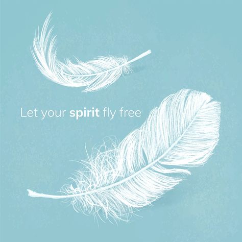 Feather Quotes, Blue Cheer, Blue Quotes, Facebook Post Template, Free Illustration Images, Mecca Wallpaper, Fly Free, Aesthetic Template, Inspirational Phrases