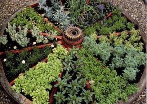 Artsy Garden, Wagon Wheel Garden, Growing Calendar, Kitchen Gardens, Herb Gardens, Outdoor Stuff, Plant Ideas, Herb Pots, Have Inspiration