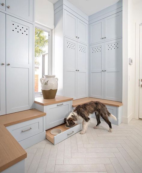 Built-in – Benjamin Moore: Silver Cloud 2129-70 Herringbone Tile Floors, Pet Feeding Station, Dog Feeding Station, Dog Washing Station, Mudroom Laundry Room, Mudroom Design, Dog Rooms, Laundry Mud Room, Up House