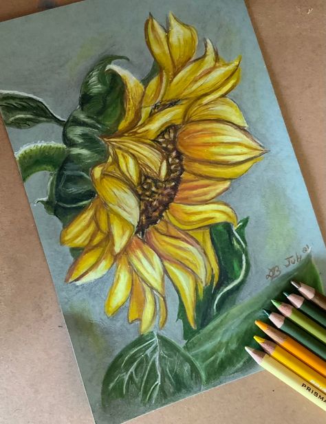 Sunflower Colored Pencil Drawing, Colored Pencil Sunflower, Colored Pencil Art Easy Ideas Flower, Flowers Drawing Pencil, Christmas Canvas Painting, Beginners Canvas Painting, Colored Pencil Artwork Ideas, Easy Canvas Painting Ideas, Painted Sunflowers