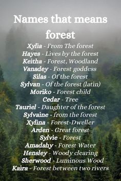 Fantasy Character Names, Doing Your Best, Writing Inspiration Tips, Best Character Names, Writing Fantasy, Fantasy Names, Writing Prompts For Writers, Wood Elf, Creative Names