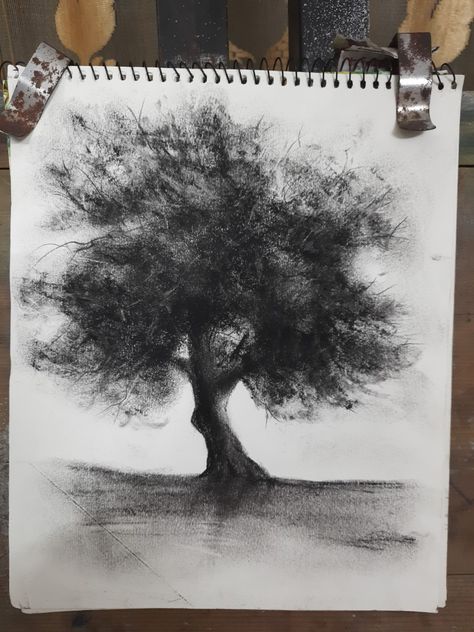 Charcoal Tree Sketch, Charcoal Stick Art, Chalk Tree Drawing, Beginner Charcoal Drawing, Coal Drawing Easy, Carbon Drawings, Charcoal Art Landscape, Charcoal Art Sketches, Charcoal Tree Drawing