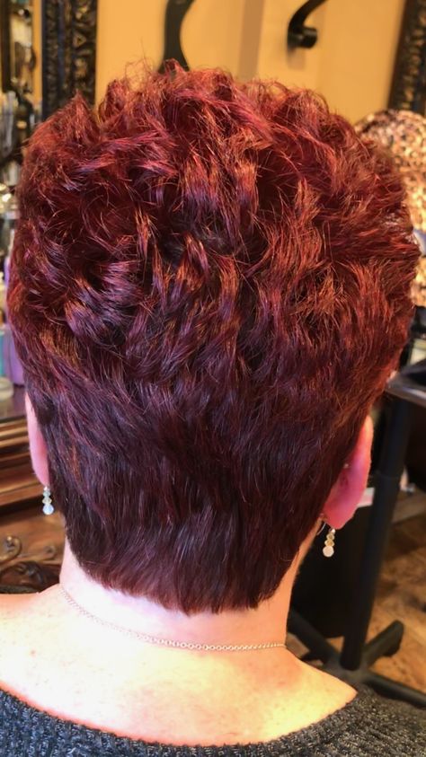 Back of a pixie cut with red violet color @josephashleysalon Short Burgundy Hair Pixie, Back Of A Pixie Cut, Red Violet Color, Short Burgundy Hair, Short Spiked Hair, Short Red Hair, Short Spiky Hairstyles, Short Hair Images, Shaggy Short Hair