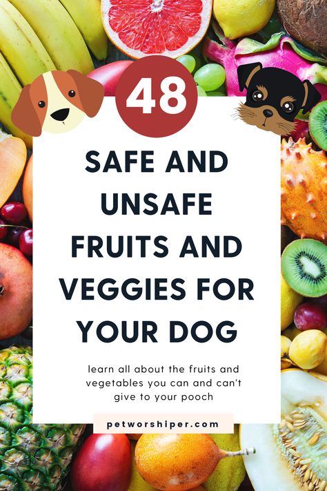 Pet care is a crucial topic for me, and the most important part of that is proper nutrition. I guess it’s not unfamiliar to you fact that vegetables and fruits are very beneficial for dogs.

However, some harmful alternatives are worth avoiding. I want you not to be confused, so I’ve put together a detailed list for you where you can find the best vegetables and fruits dogs can eat. I will also include the harmful options. Fruits And Vegetables Dogs Can Eat, Vegetables Dogs Can Have, Fruit That Dogs Can Eat, Best Veggies For Dogs, Dog Safe Fruits And Veggies, Can Dogs Have Strawberries, Fruits For Dogs Healthy, Dog Fruits And Vegetables, Vegetables Good For Dogs