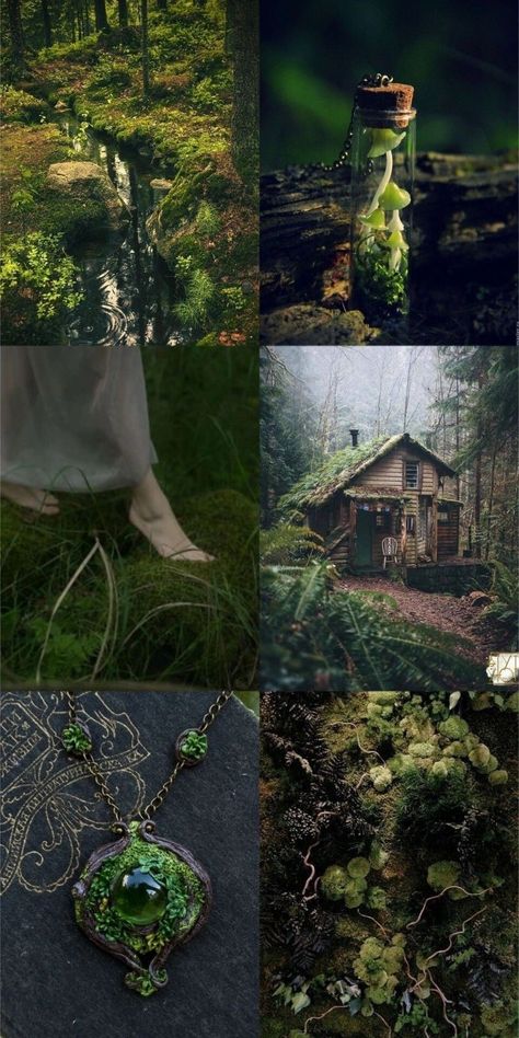 Colorful Witchy Aesthetic, Witch Forest Aesthetic, Earth Witch Aesthetic, Forest Witch Art, Forest Witch Aesthetic, Witchy Forest, Cottage Witch Aesthetic, Green Witch Aesthetic, Nature Witch