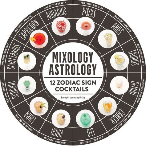 Different Drinks, Aries And Capricorn, Astrology Birthday, Sagittarius Astrology, Zodiac Signs Gemini, Adult Drinks, Astrology Zodiac, Party Drinks, Mixology