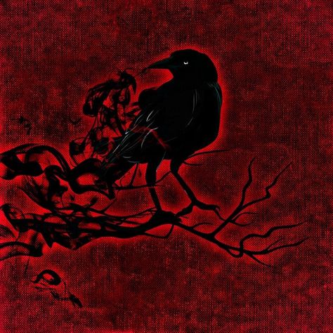 Raven Crow Night - Free image on Pixabay Red Crow, Red Raven, Red Goth, Dot Grid Journal, Red Icons:), Photos Hd, Red Aesthetic, Aesthetic Grunge, Drum And Bass