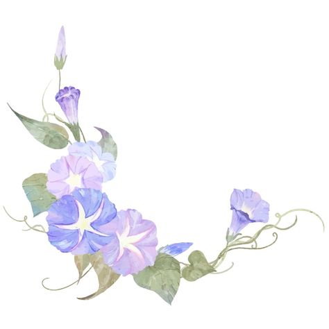 Watercolor violet morning glory flowers ... | Premium Vector #Freepik #vector #flower-green #watercolor-wreath #flowers-watercolor #floral-watercolor Watercolor Morning Glory, Morning Glory Flowers Aesthetic, Morning Glory Watercolor, Watercolor Violet, Flowers Morning, Morning Glory Flowers, Watercolor Wreath, Morning Glories, Flowers Illustration