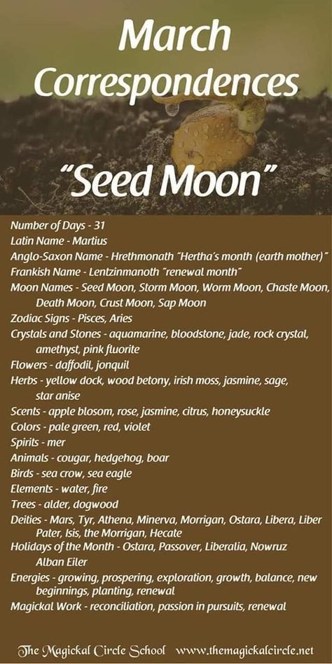 March Correspondences, Month Correspondence, Moon Zodiac, Moon Meaning, Lunar Magic, Moon Names, Moon Magick, Moon Reading, New Moon Rituals