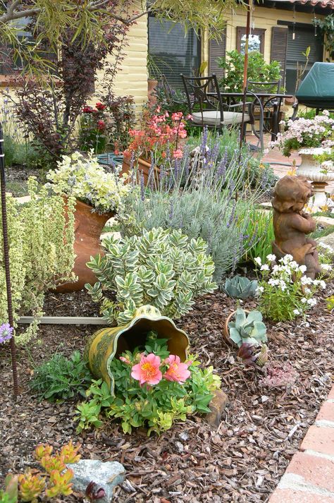 Waterwise garden Xeriscape Front Yard, Xeriscape Landscaping, Rockery Garden, Drought Tolerant Garden, Waterwise Garden, Dry Garden, Gravel Garden, Rock Garden Landscaping, Plants And Flowers