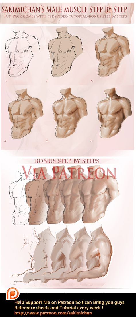 Male Muscle, Anatomy Tutorial, Human Anatomy Drawing, 강아지 그림, Anatomy Sketches, Body Reference Drawing, Body Anatomy, Coloring Tutorial, Anatomy Drawing