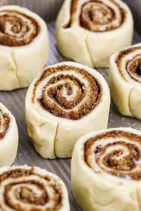 Biscoff Cinnamon Buns, Baking With Biscoff, Cookie Butter Bread, Biscoff Coffee Cake, Recipes Using Biscoff Cookie Butter, Cookie Butter Recipes Biscoff, Biscoff Buns, Biscoff Cookie Butter Recipes Homemade, Cookie Butter Cinnamon Rolls