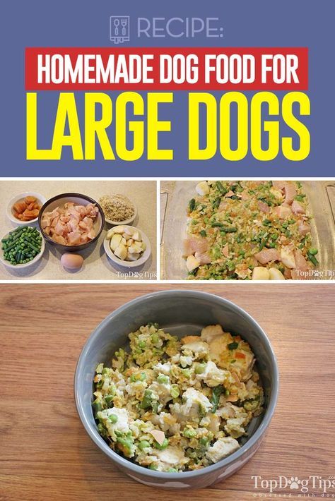 Dog Food Recipes Crockpot, Homemade Dog Cookies, Diy Dog Food, Make Dog Food, Dog Biscuit Recipes, Food Dog, Raw Dog Food Recipes, Dog Nutrition, Healthy Dog Food Recipes