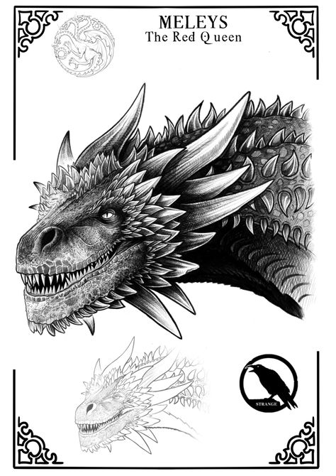 Meleys Dragon Tattoo, House Of The Dragon Tattoo, Game Of Thrones Drawings, Dessin Game Of Thrones, Drogon Game Of Thrones, Game Of Thrones Tattoo, Dragons Art, Game Of Thrones Artwork, Game Of Thrones Dragons